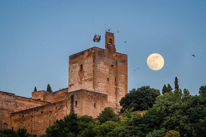 Granada and The Alhambra Private Tour From Malaga