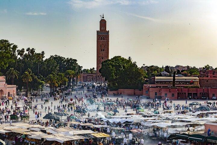 Marrakech Day Trip from Casablanca: Palaces, Souks & Camel Ride