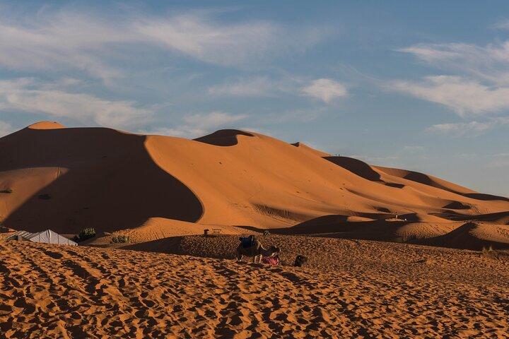 Private 2-Days Sahara Tour to Zagora & Ait Ben Haddou