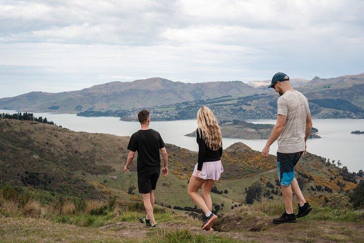 Christchurch Highlights Tour (Private Lyttelton shore excursion)