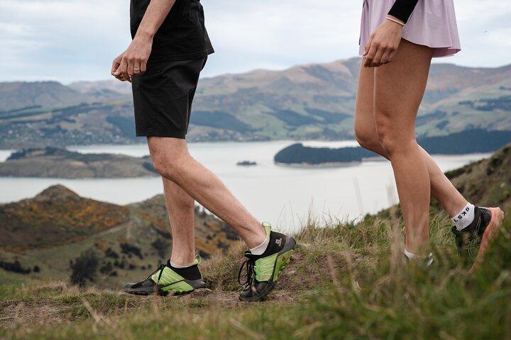 Christchurch Highlights Tour (Private Lyttelton shore excursion)