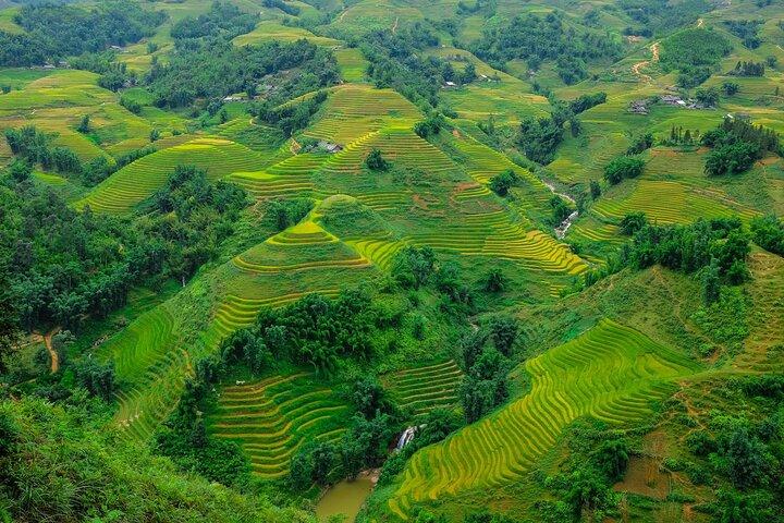 A day Trek to Rice Field in LaoChai-Tavan village-MuongHoa valley