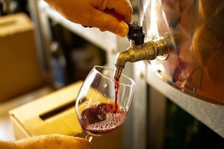 Special Chianti Afternoon Wine Tour from Florence