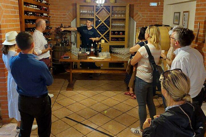Pelješac Wine Tour from Dubrovnik: Taste the Best