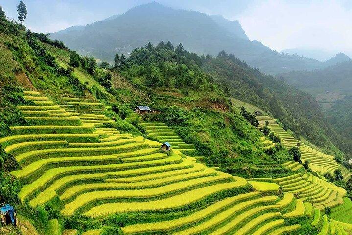 9 Days Northern Vietnam from the Mountain to the Bay