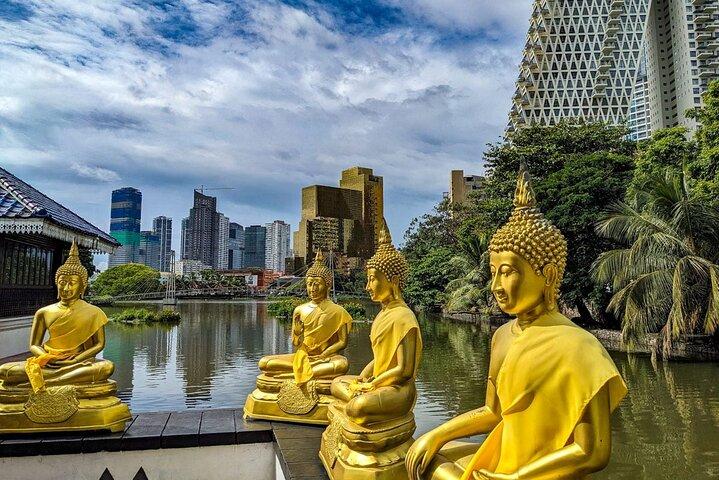 Muthurajawela Bird Sanctuary & Colombo City Private Day Tour