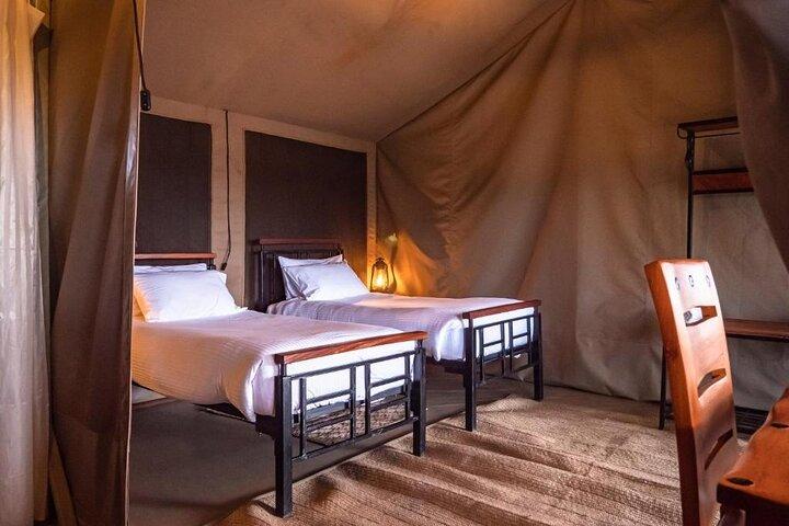 4-Day Lake Naivasha & Amboseli- Luxury Grp Joining Safari