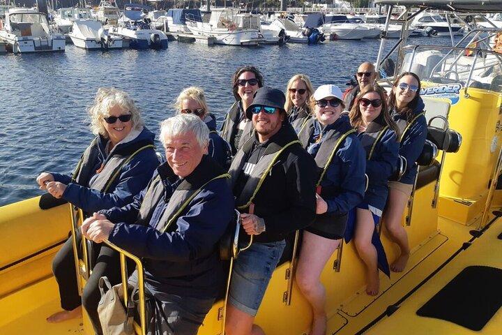 Dolphin Watching and Bathing in Papagayo Lanzarote Beach