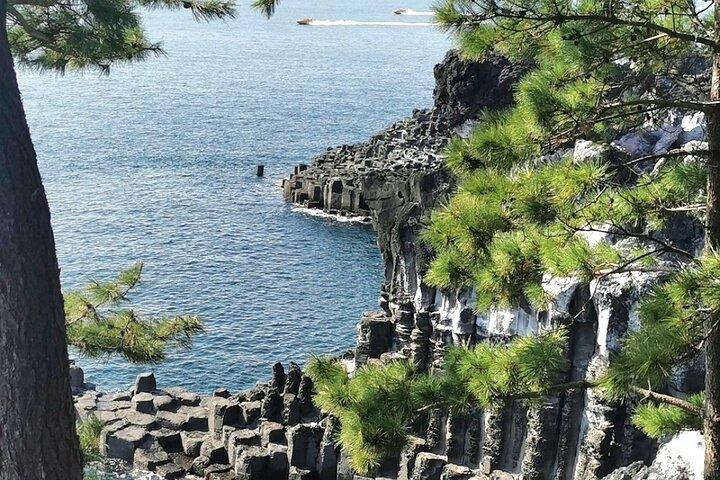 Jeju Cruise Ship gangjung Port PRIVATE tour for all group sizes