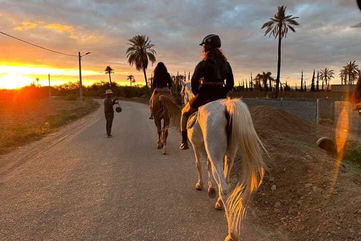 Marrakech : Balade à cheval Privée à la Palmeraie de Marrakech
