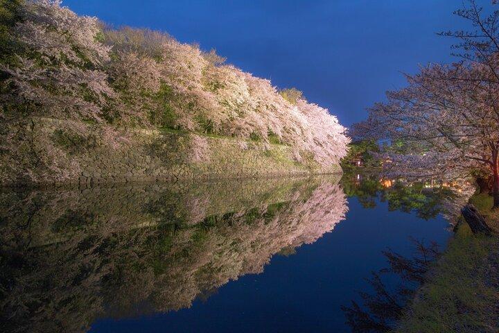 Explore the Historic Castle Town of Hikone from Kyoto