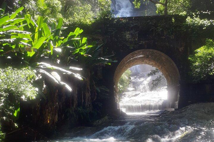Explore the Caves and Waterfalls of Tijuca Forest!