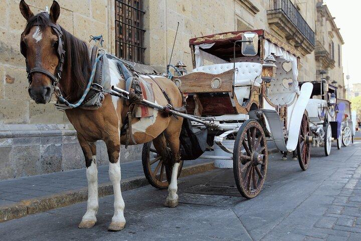 Private Transportation from Guadalajara to Puerto Vallarta