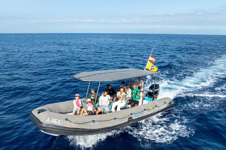 Whale Watching Eco-Adventure from Costa Adeje