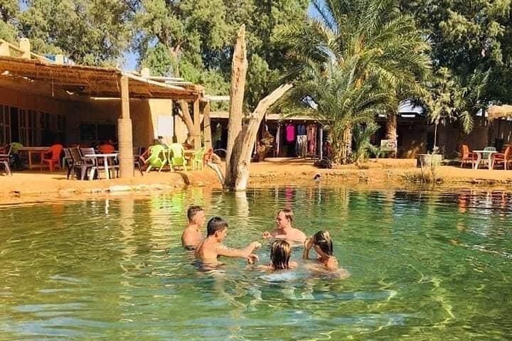 From Djerba: Explore the desert in a day