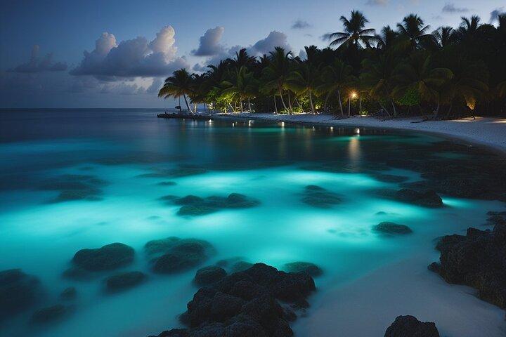 Cayman Bioluminescent Bay Night Tour
