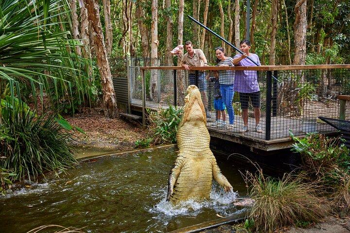 Hartley Crocodile Park with Kuranda, Skyrail Cableway and Train