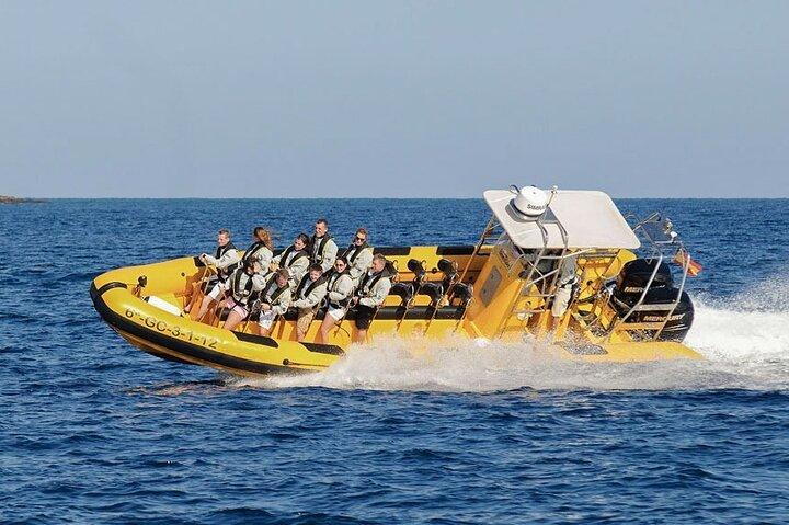 Dolphin Watching and Bathing in Papagayo Lanzarote Beach