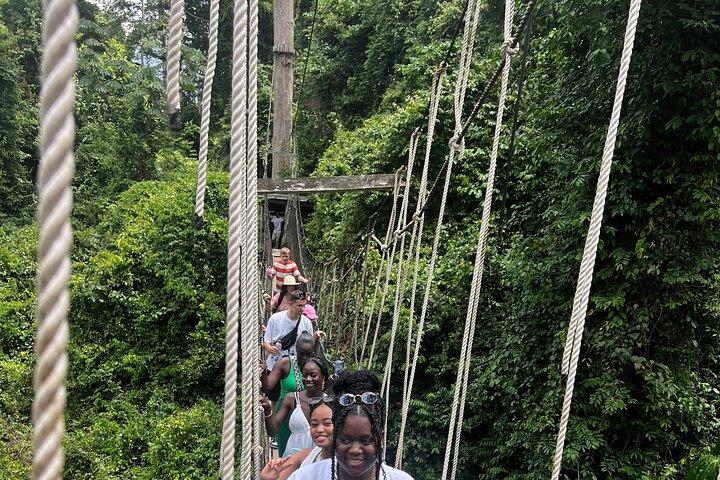 Ghana Cultural and Wildlife Adventure Exclusive Shore Excursion
