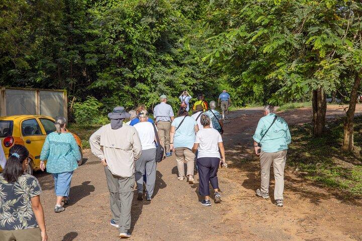Ghana Cultural and Wildlife Adventure Exclusive Shore Excursion