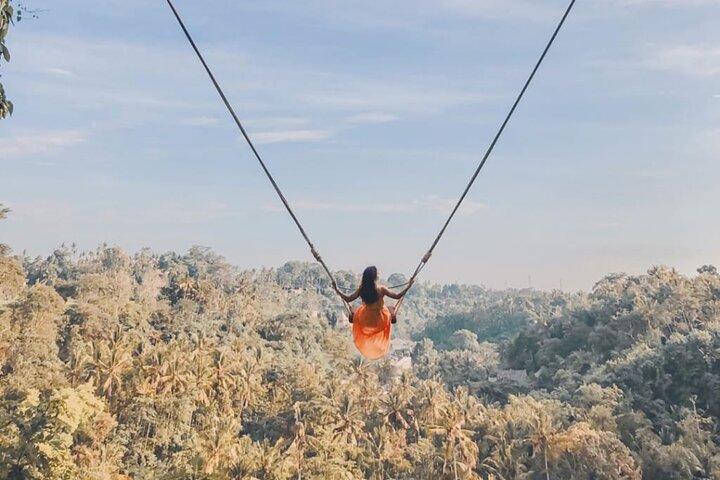 Bali Swing, Monkey Forest and Waterfalls Tour