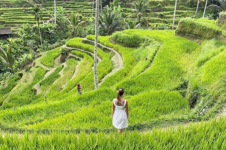 Bali Swing, Monkey Forest and Waterfalls Tour