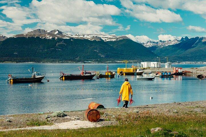 Guided Penguin Watching Tour and Centolla Route