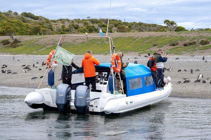 Guided Penguin Watching Tour and Centolla Route
