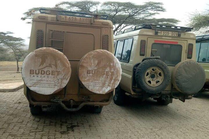 Ngorongoro Crater Day | Full Day Game Drive
