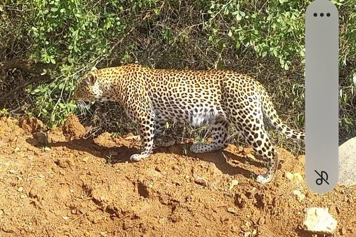 Maasai Mara Day Trip From Nairobi