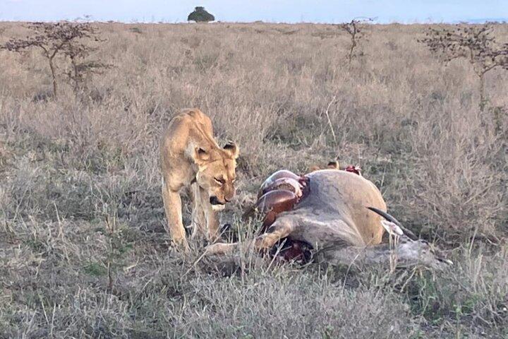Nairobi National Park Giraffe Center and Carnivore Restaurant