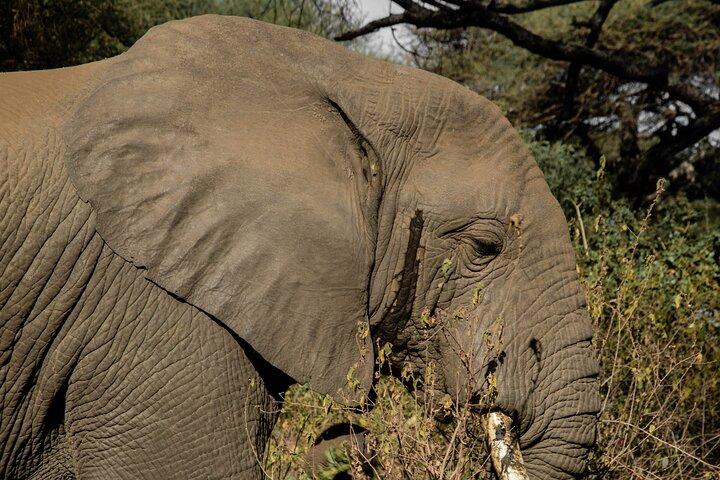 3-Day Tarangire, Ngorongoro & Manyara Shared Safari