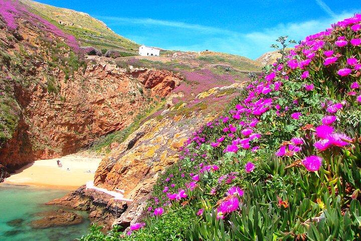Berlengas Island Catamaran Tour + Snorkeling