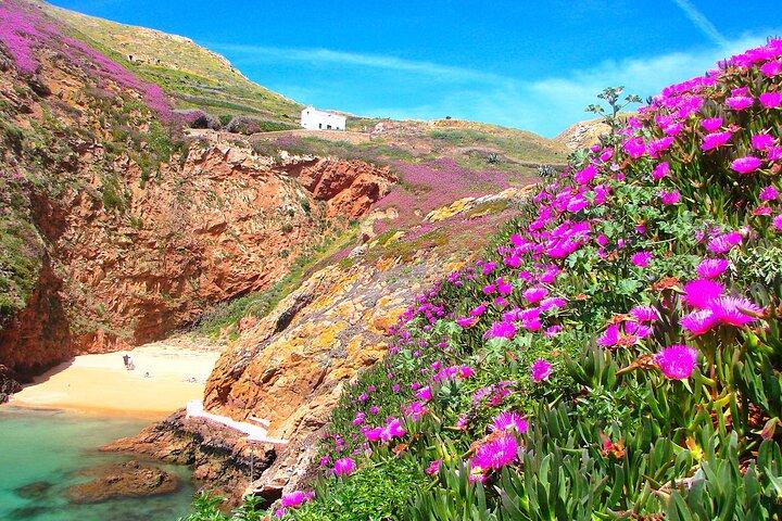 Catamaran trip to Berlengas Island + visit to the caves