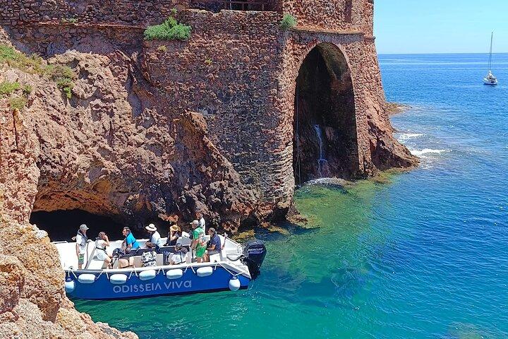 Catamaran trip to Berlengas Island + visit to the caves