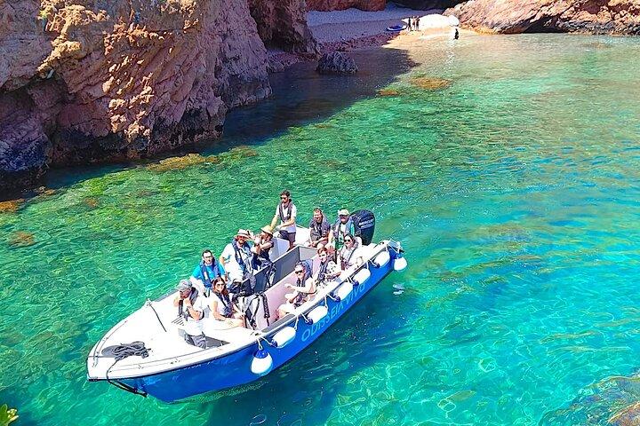 Catamaran trip to Berlengas Island + visit to the caves