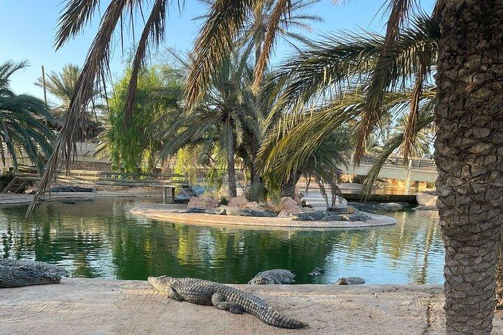 Guided Tour of Djerba island, Museums, Crocodile park & lunch