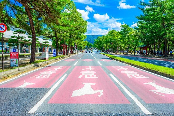 Nara Highlights Private Tour with Local driver (guide option)