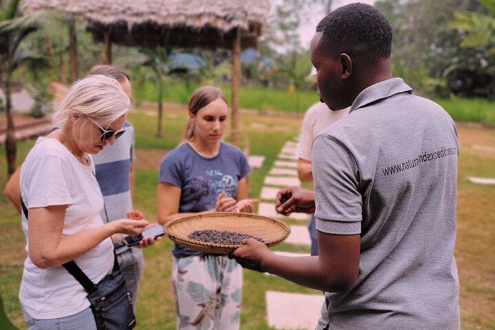 Bean to Cup: Traditional Coffee Preparation in Arusha