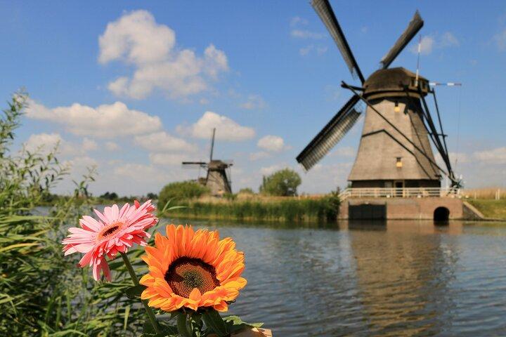 Explore Kinderdijk, Delft, and The Hague Day Tour from Amsterdam