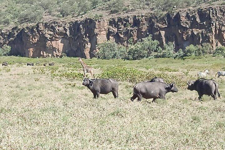 Hell's Gate National Park Private Bike Tour from Nairobi