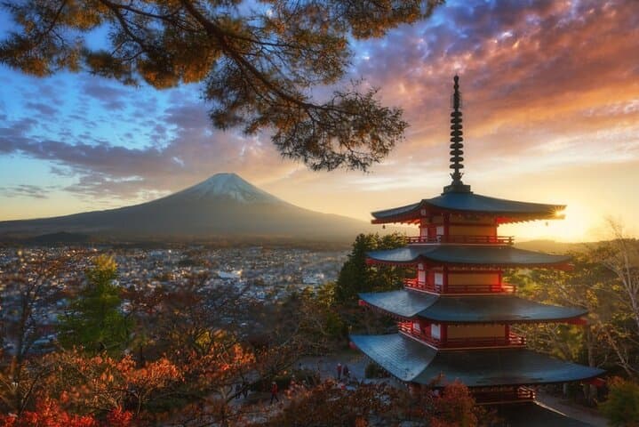 Mt Fuji or Hakone Private Day Tour