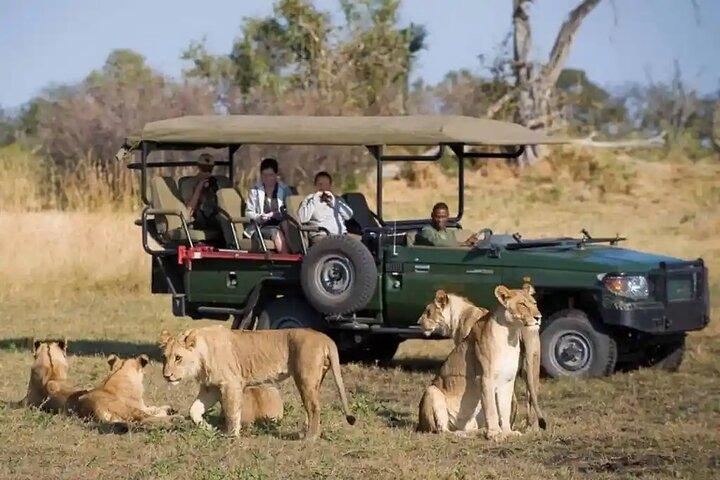 Chobe Day Trip Safari from Livingstone