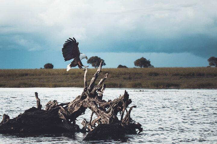Full Day Okavango Mokoro Tour