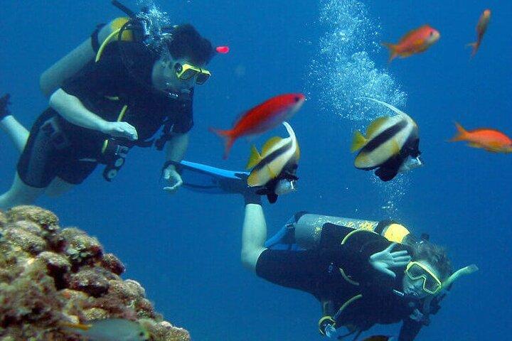Scuba Diving Experience with a Professional Instructor