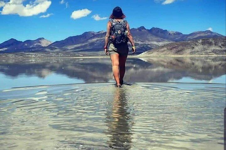 From Arequipa: Salinas Lagoon Half Day Tour