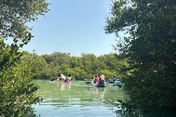 Mangrove Kayak Tour