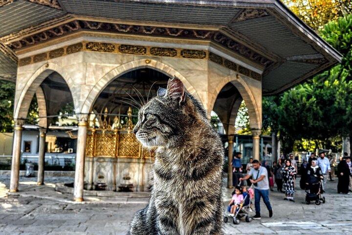 Private Istanbul Tour