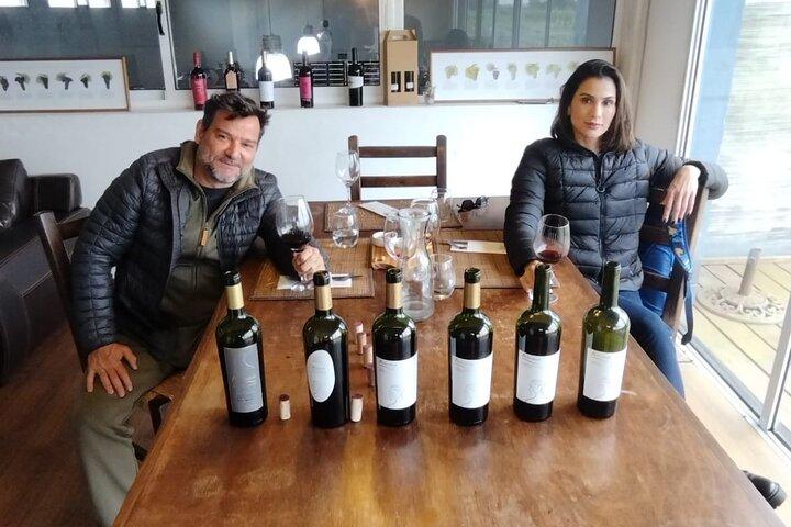 Traditional and award-winning winery tour in Montevideo