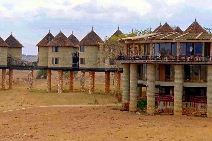 OVERNIGHT SAFARI to SALT LICK LODGE from Mombasa or Diani
